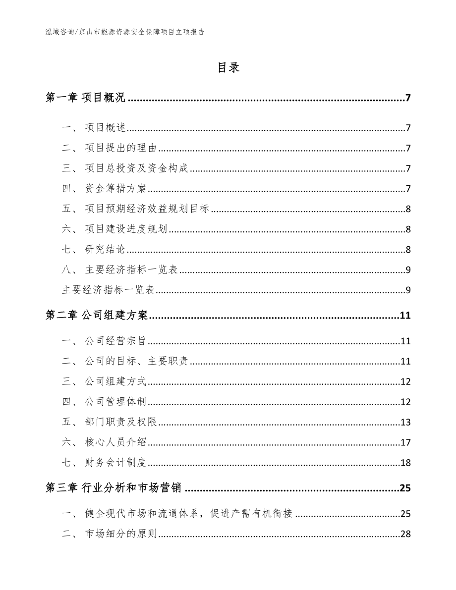 京山市能源资源安全保障项目立项报告_模板范文_第1页