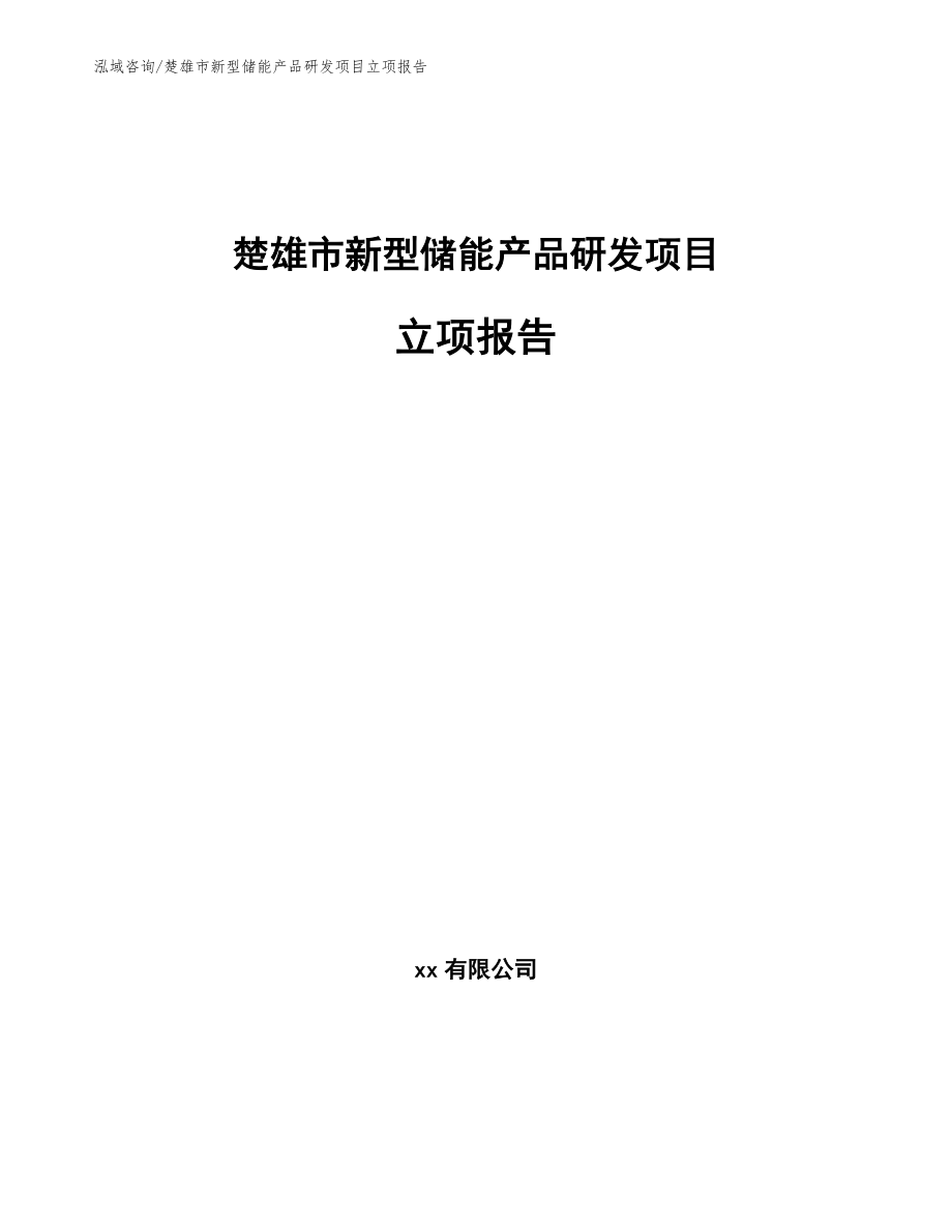 楚雄市新型储能产品研发项目立项报告（模板范本）_第1页