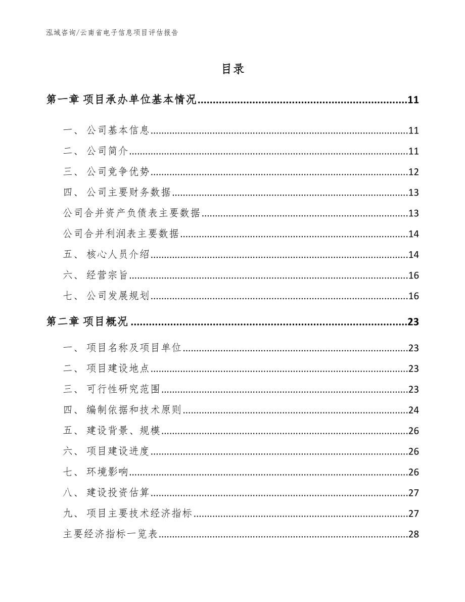 云南省电子信息项目评估报告_第1页