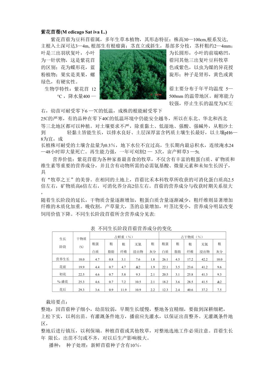 紫花苜蓿种植方式说明书_第1页