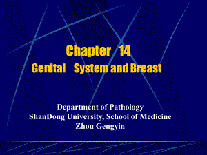 8年制病理学英文课件（2版）：14生殖系统