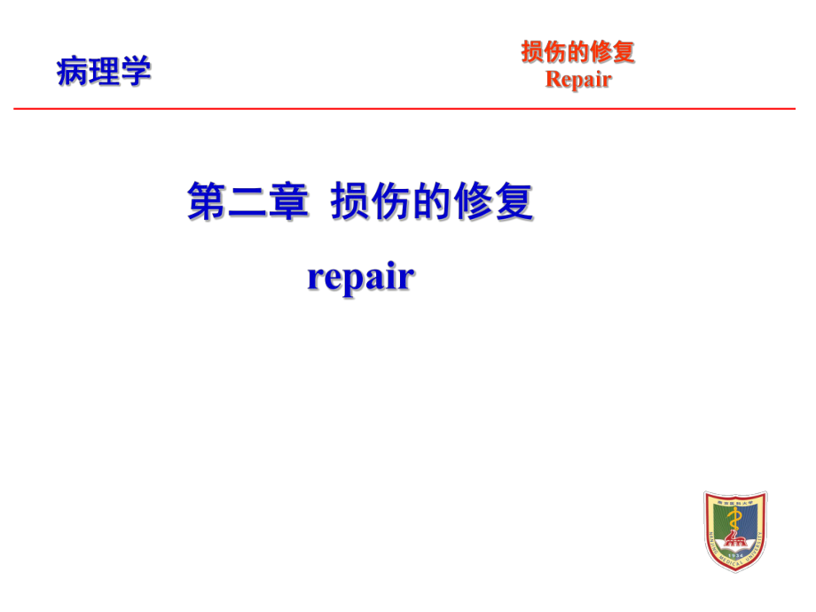 病理学教学课件：第二章损伤的修复_第1页