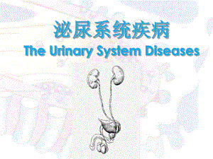 病理学教学课件：泌尿系统疾病2