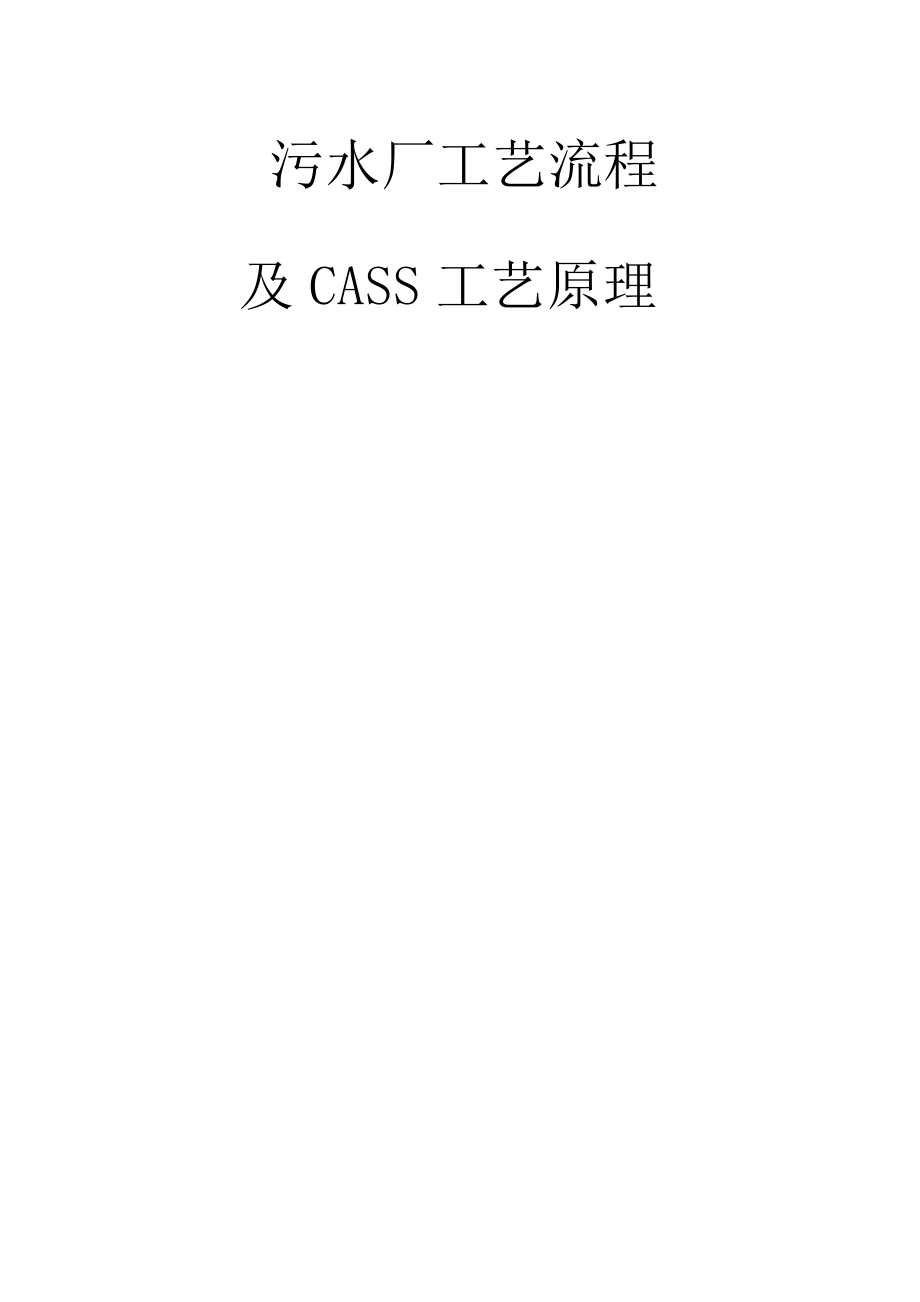 工艺流程及CASS工艺原理_第1页