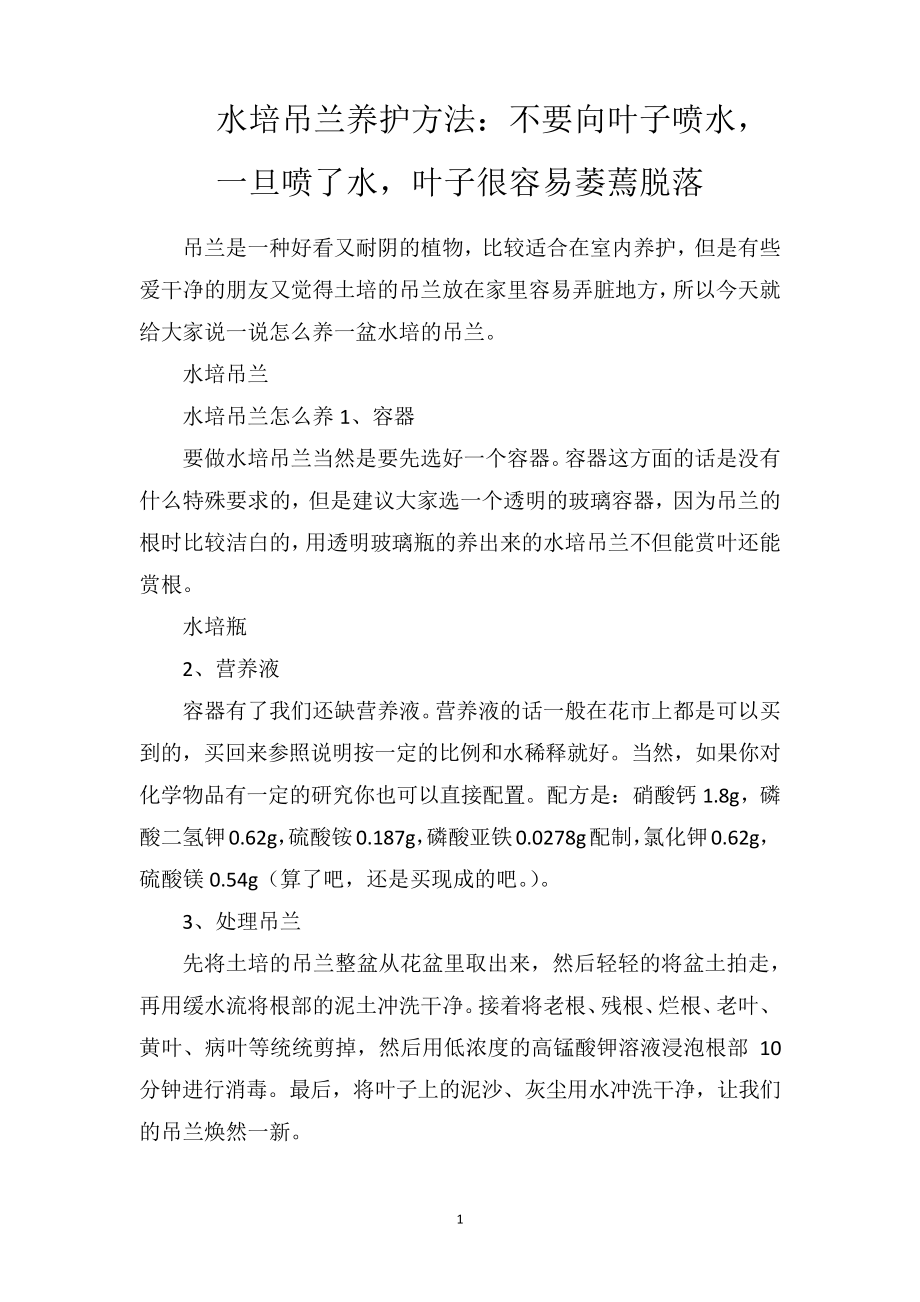 水培吊兰养护方法：不要向叶子喷水,一旦喷了水,叶子很容易萎蔫脱落_第1页