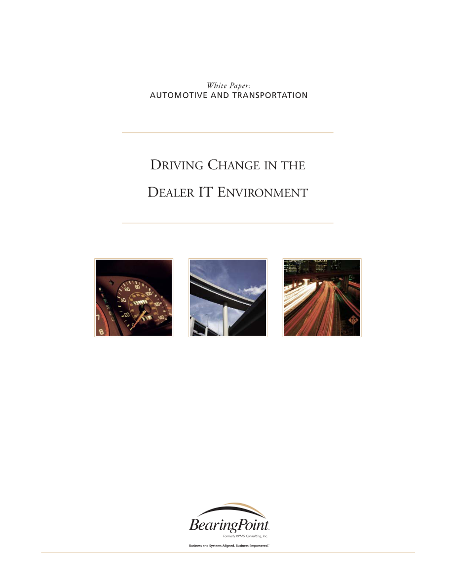 新《商业计划-可行性报告》毕博咨询报告－Driving Change in the dealer IT Enviorment8_第1页
