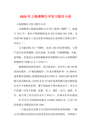 2023年上海浦钢公司实习报告小结