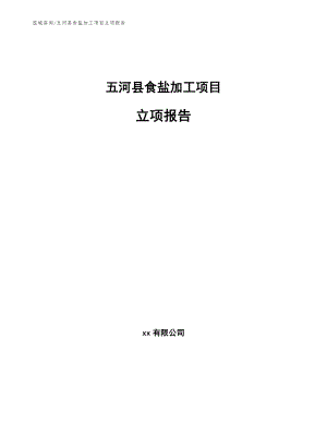 五河县食盐加工项目立项报告【模板】