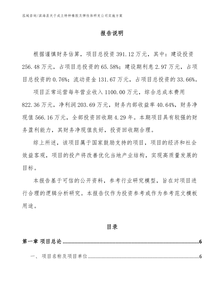 滨海县关于成立特种橡胶及弹性体研发公司实施方案（模板）_第1页