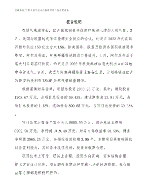 江阴天然气技术创新项目可行性研究报告