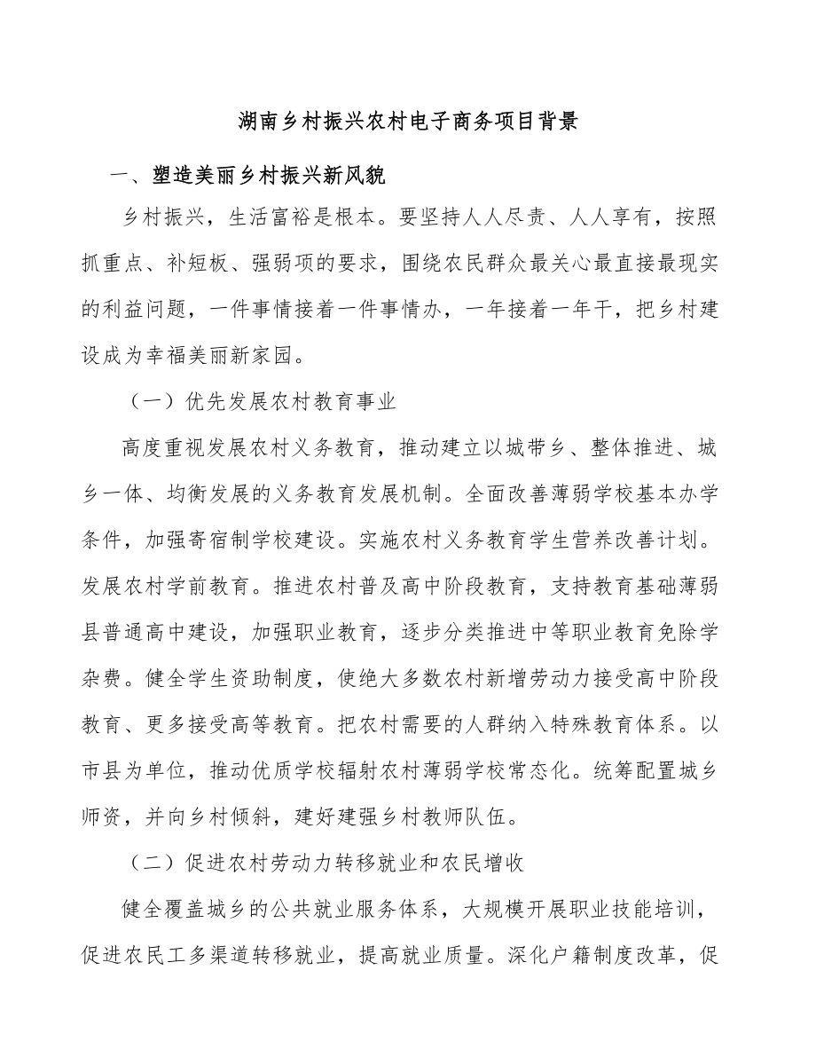 湖南乡村振兴农村电子商务项目背景_第1页