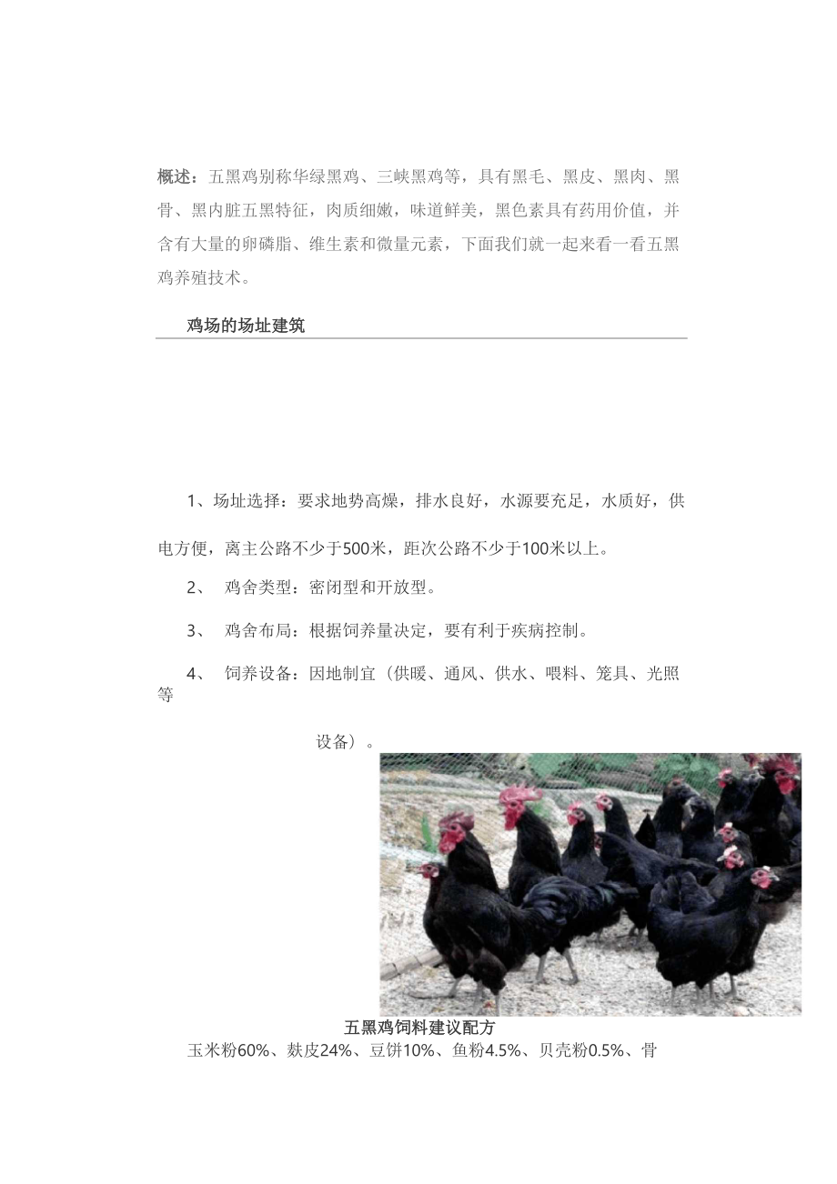 五黑鸡养殖技术_第1页