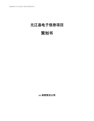 元江县电子信息项目策划书_模板参考