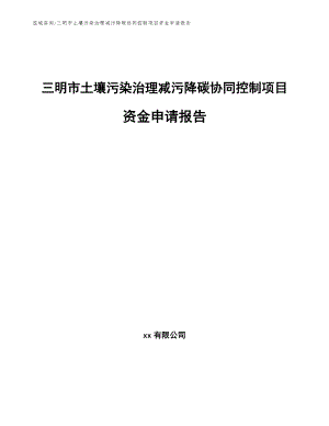 三明市土壤污染治理减污降碳协同控制项目资金申请报告（模板）
