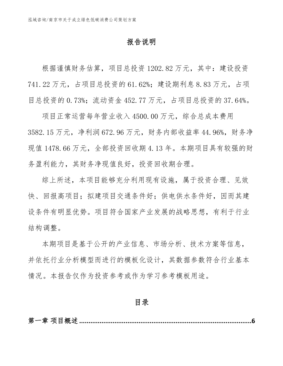 南京市关于成立绿色低碳消费公司策划方案【模板】_第1页