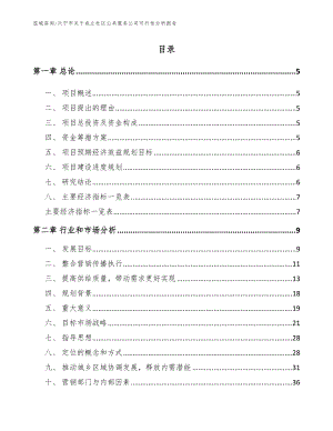 兴宁市关于成立社区公共服务公司可行性分析报告（参考范文）