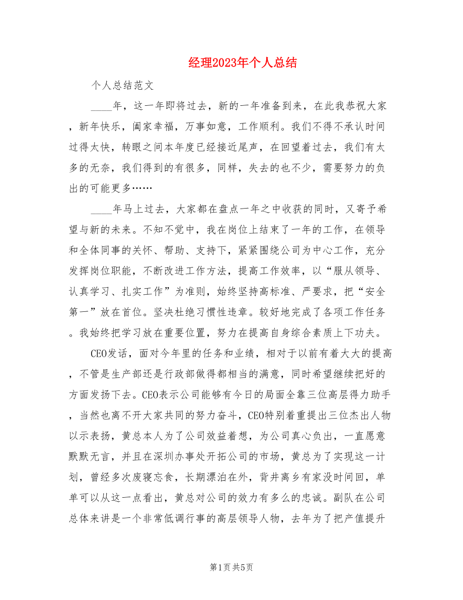 经理2023年个人总结.doc_第1页