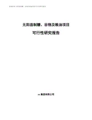 元阳县制糖、谷物及粮油项目可行性研究报告（参考范文）