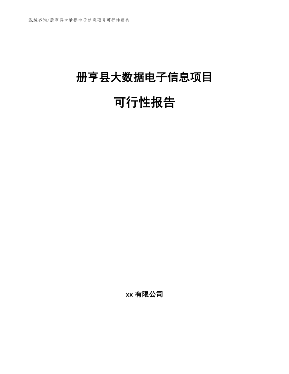 册亨县大数据电子信息项目可行性报告_第1页