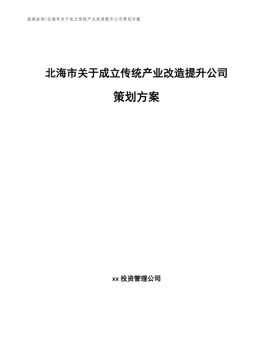 北海市关于成立传统产业改造提升公司策划方案_模板范本_第1页