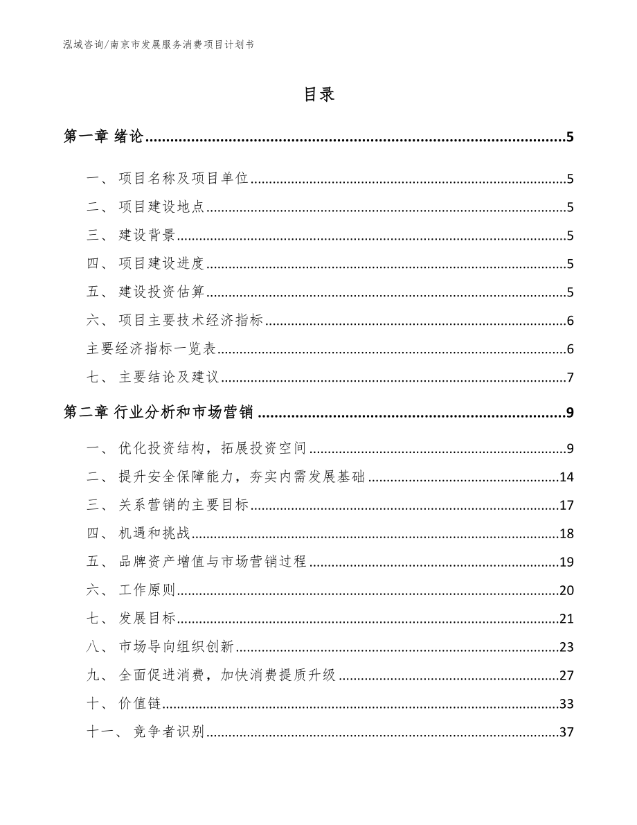 南京市发展服务消费项目计划书_第1页