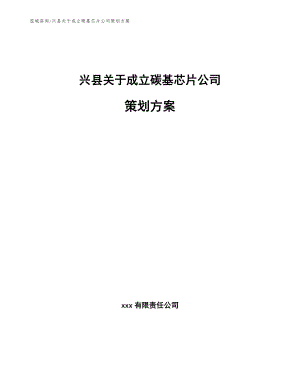 兴县关于成立碳基芯片公司策划方案模板参考