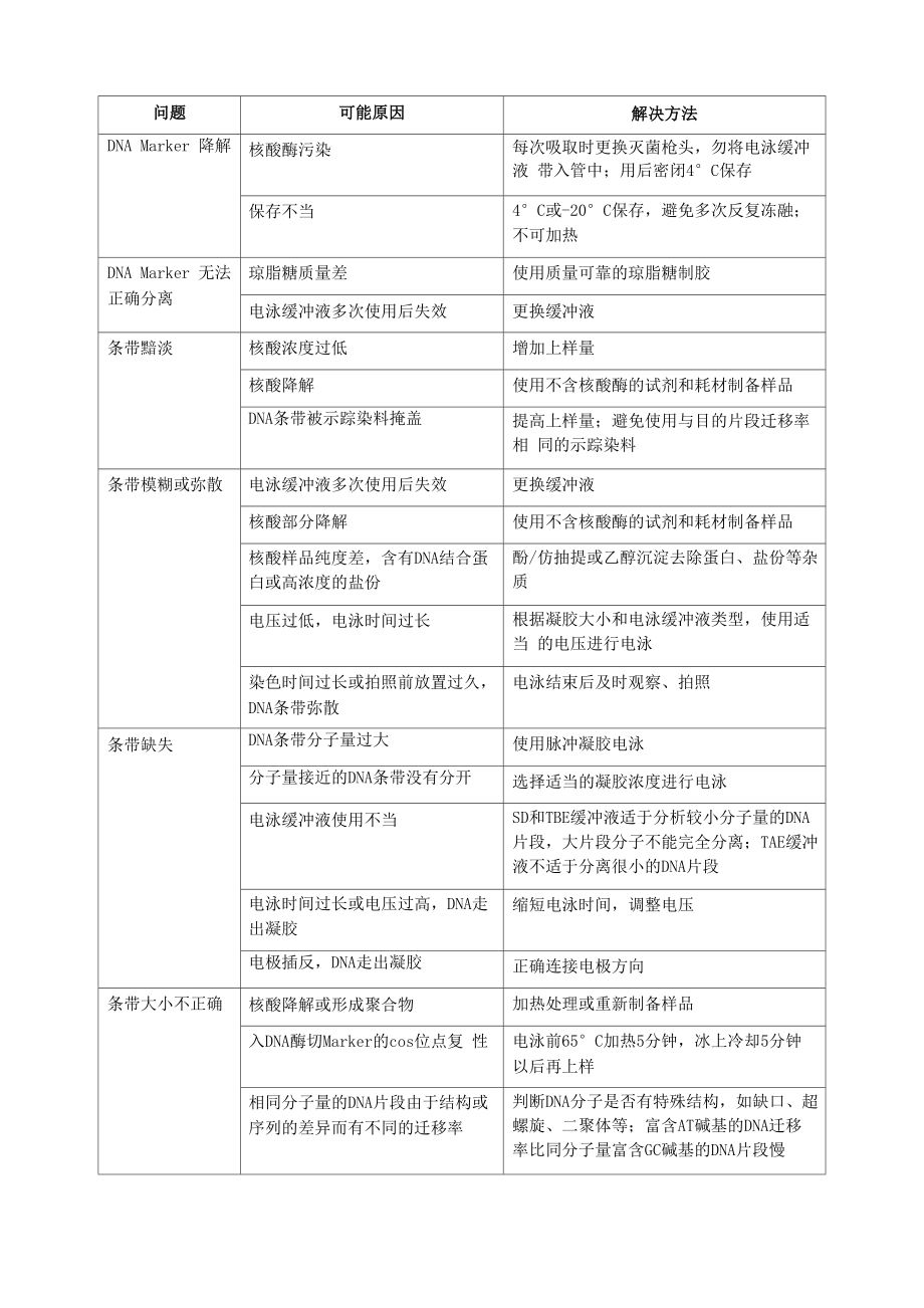 核酸电泳常见问题及解决方案_第1页