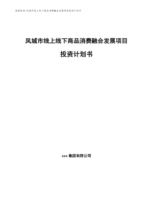 凤城市线上线下商品消费融合发展项目投资计划书（参考范文）