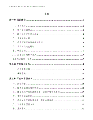 十堰市关于成立粮食安全保障公司分析报告_参考模板