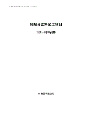 凤阳县饮料加工项目可行性报告（范文模板）