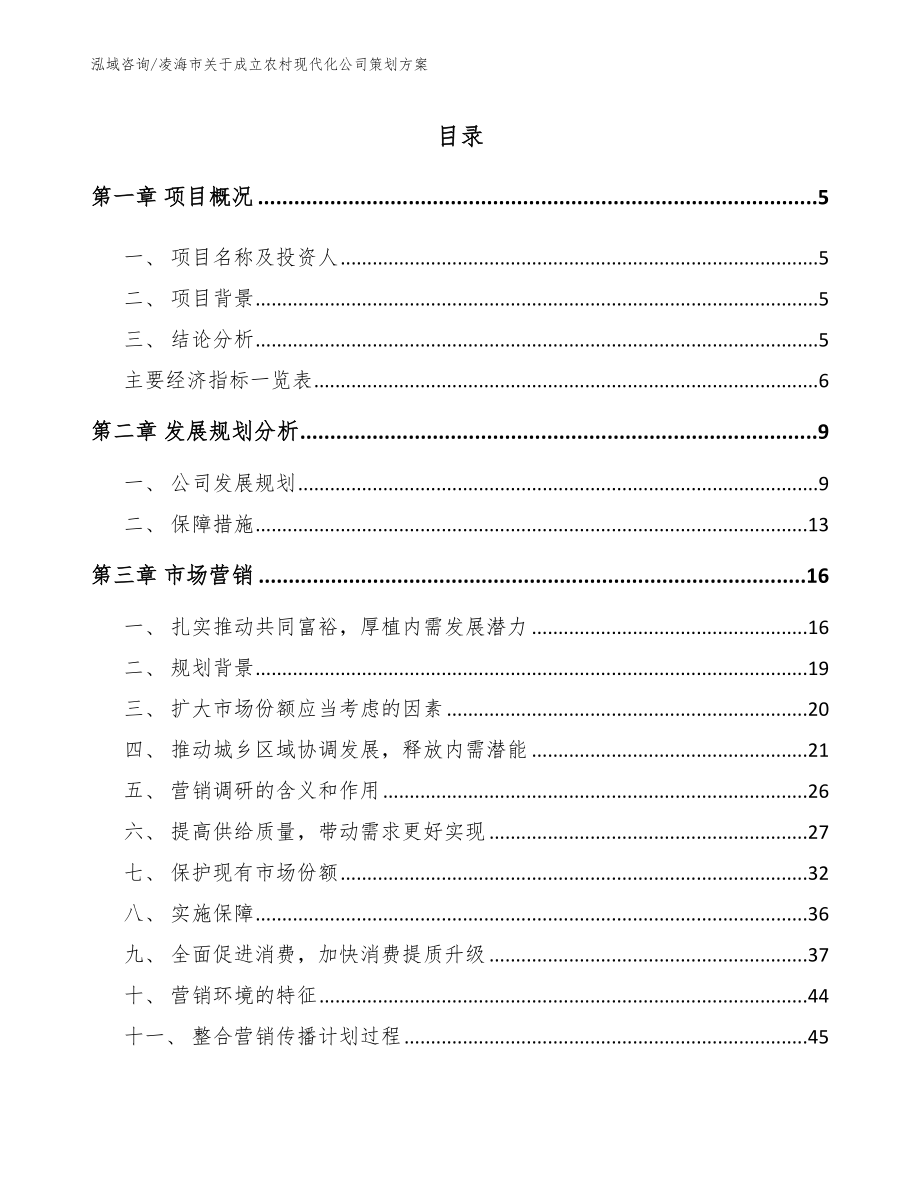 凌海市关于成立农村现代化公司策划方案参考范文_第1页