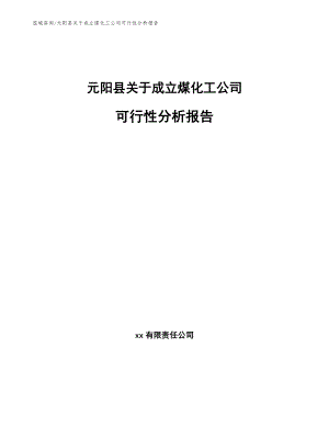 元阳县关于成立煤化工公司可行性分析报告（模板参考）