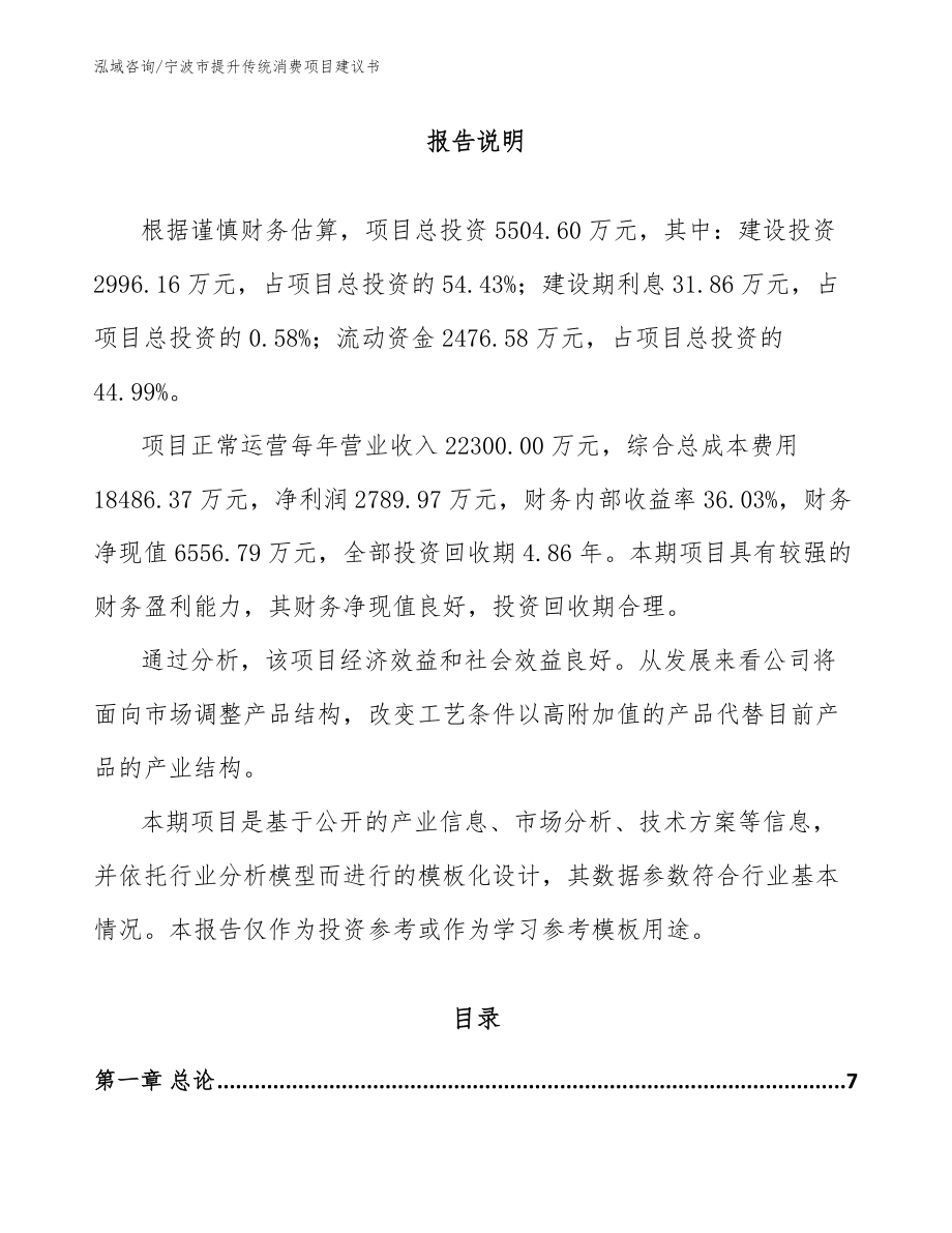 宁波市提升传统消费项目建议书_模板参考_第1页