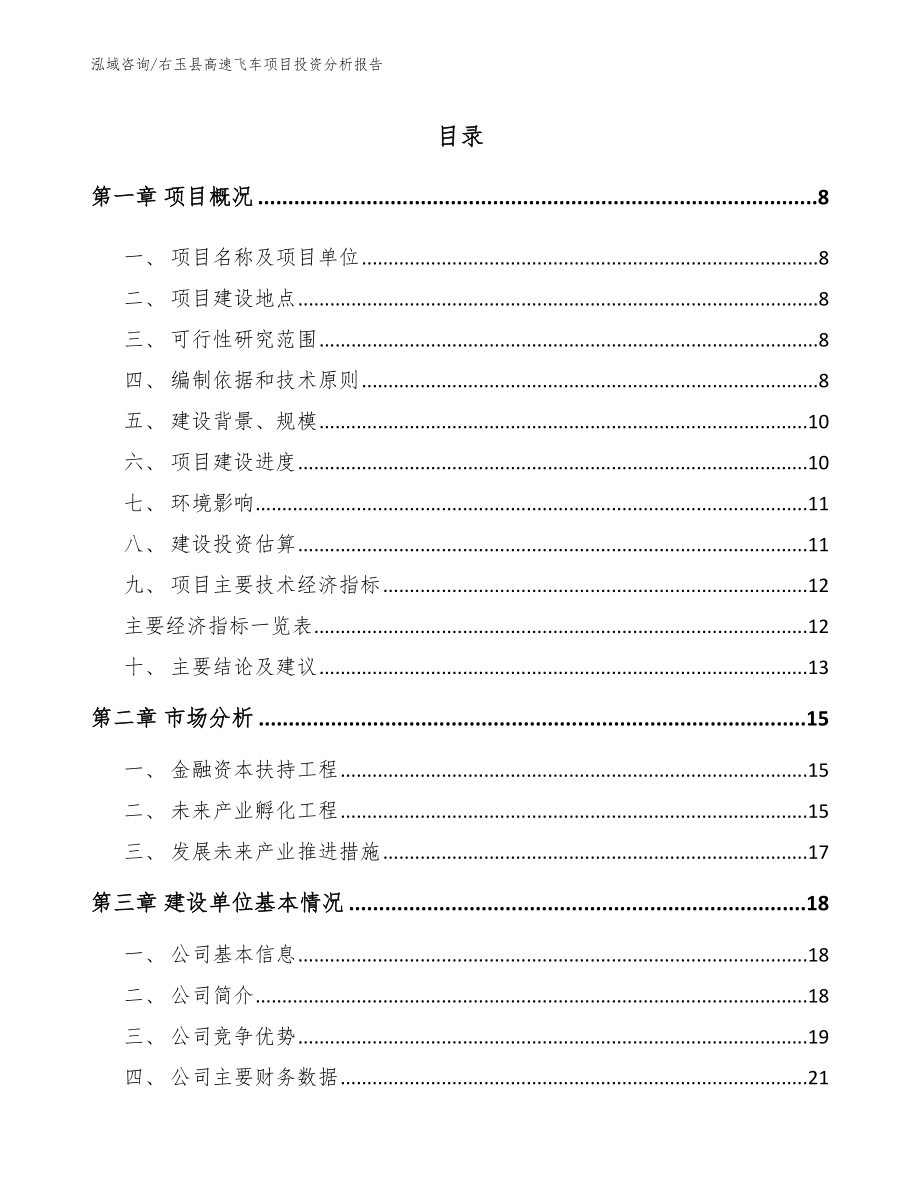 右玉县高速飞车项目投资分析报告（模板范文）_第1页