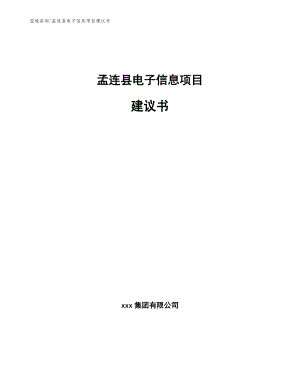孟连县电子信息项目建议书【参考模板】
