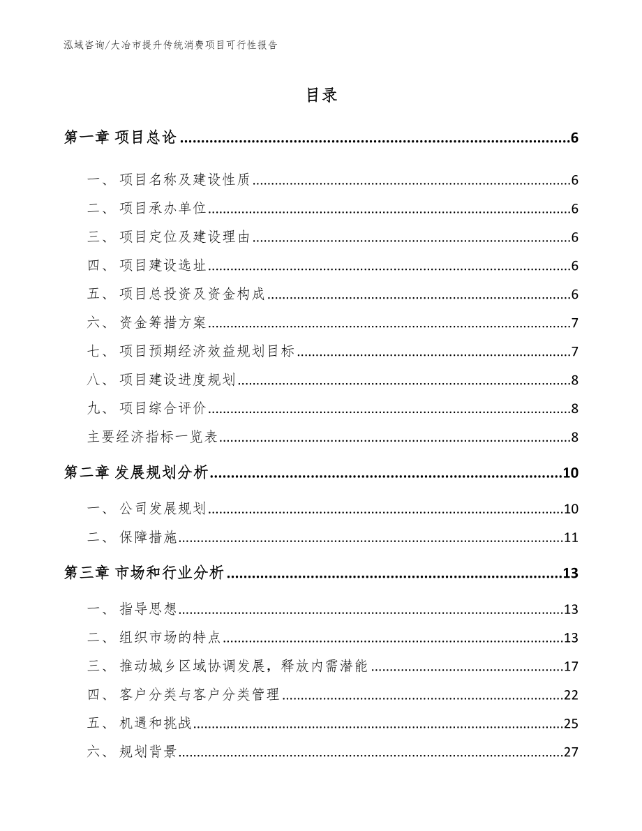 大冶市提升传统消费项目可行性报告参考模板_第1页