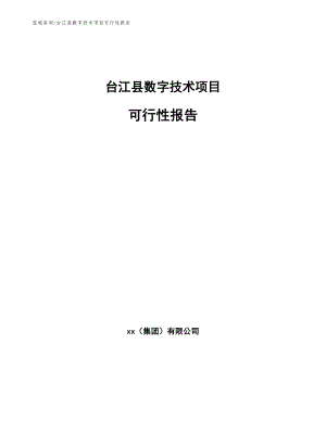 台江县数字技术项目可行性报告（模板范文）