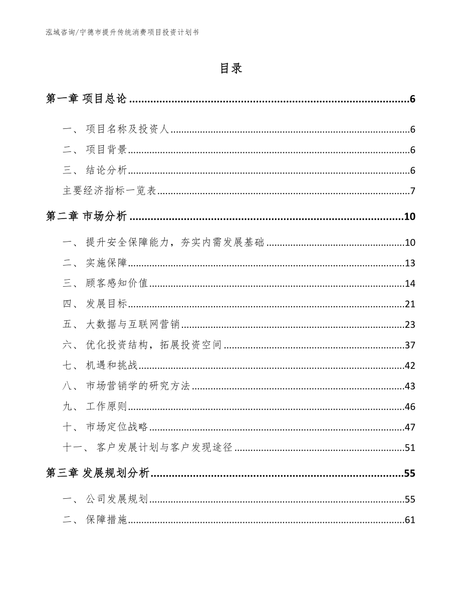 宁德市提升传统消费项目投资计划书【模板范文】_第1页