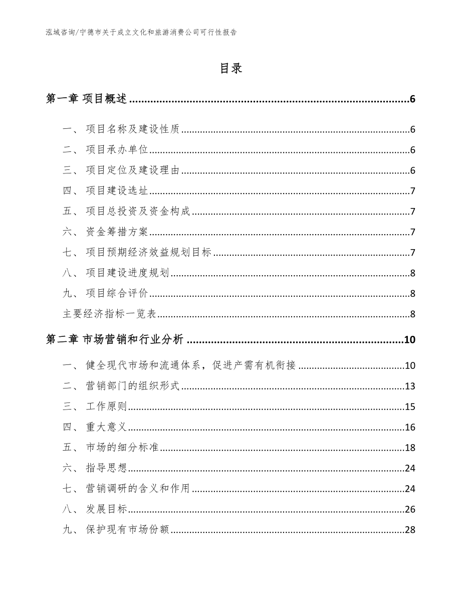 宁德市关于成立文化和旅游消费公司可行性报告_第1页