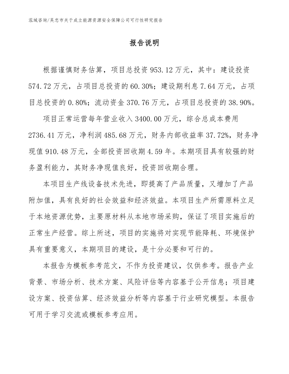 吴忠市关于成立能源资源安全保障公司可行性研究报告（范文参考）_第1页