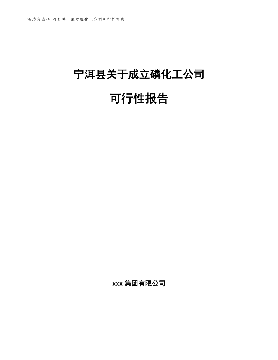 宁洱县关于成立磷化工公司可行性报告_范文参考_第1页
