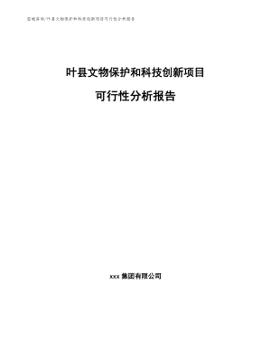 叶县文物保护和科技创新项目可行性分析报告