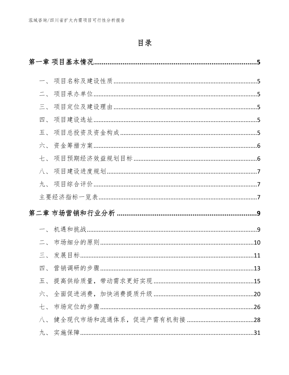 四川省扩大内需项目可行性分析报告（参考范文）_第1页