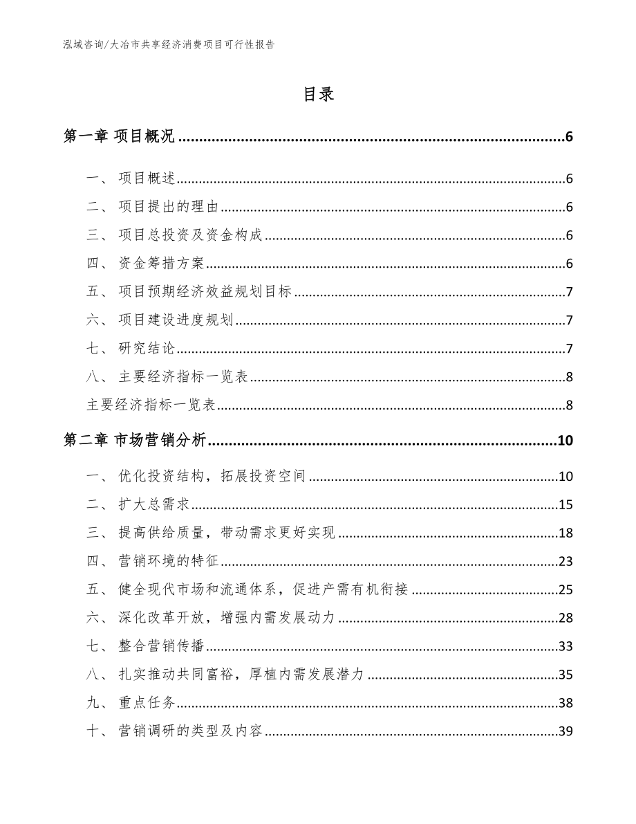 大冶市共享经济消费项目可行性报告_模板_第1页