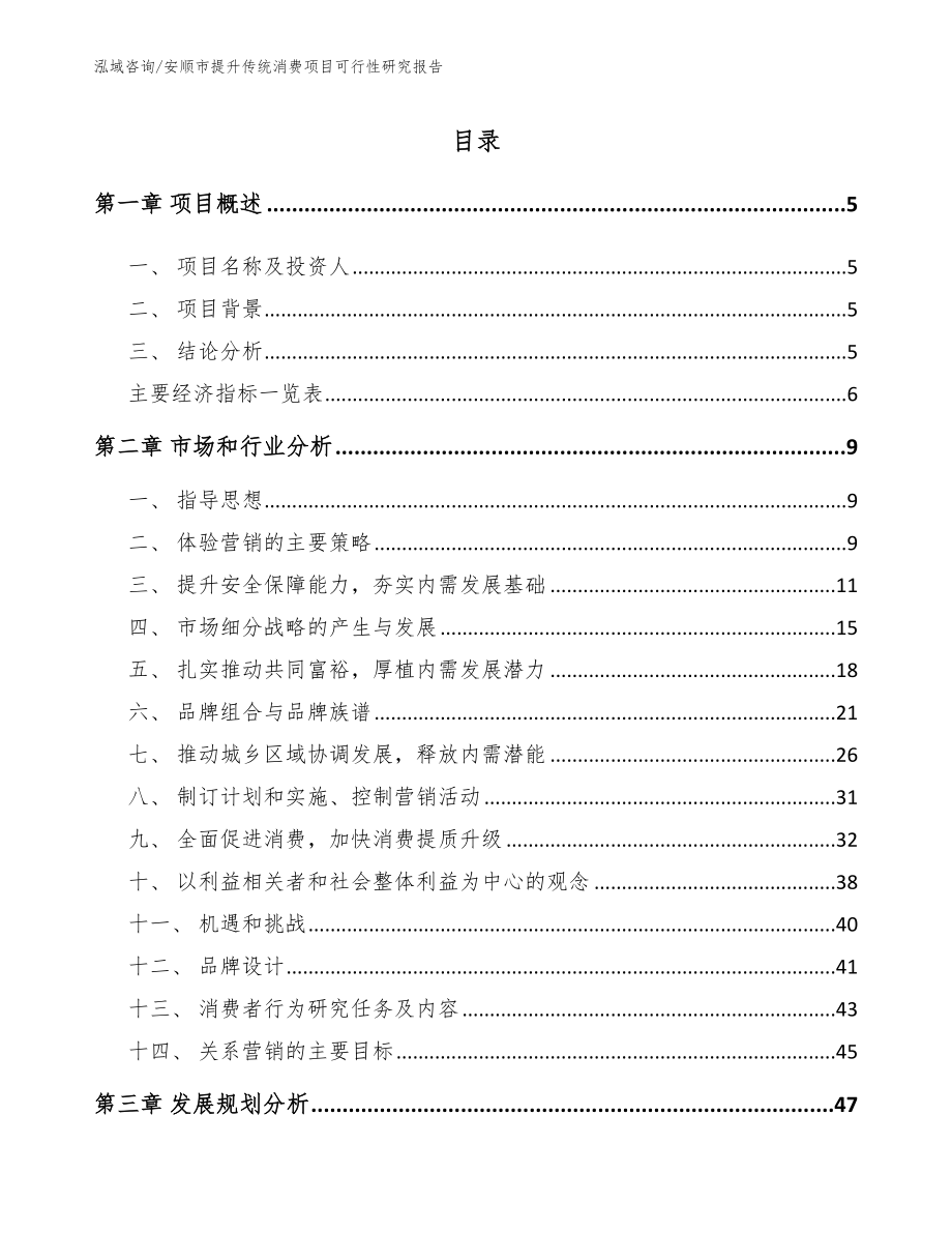 安顺市提升传统消费项目可行性研究报告_第1页