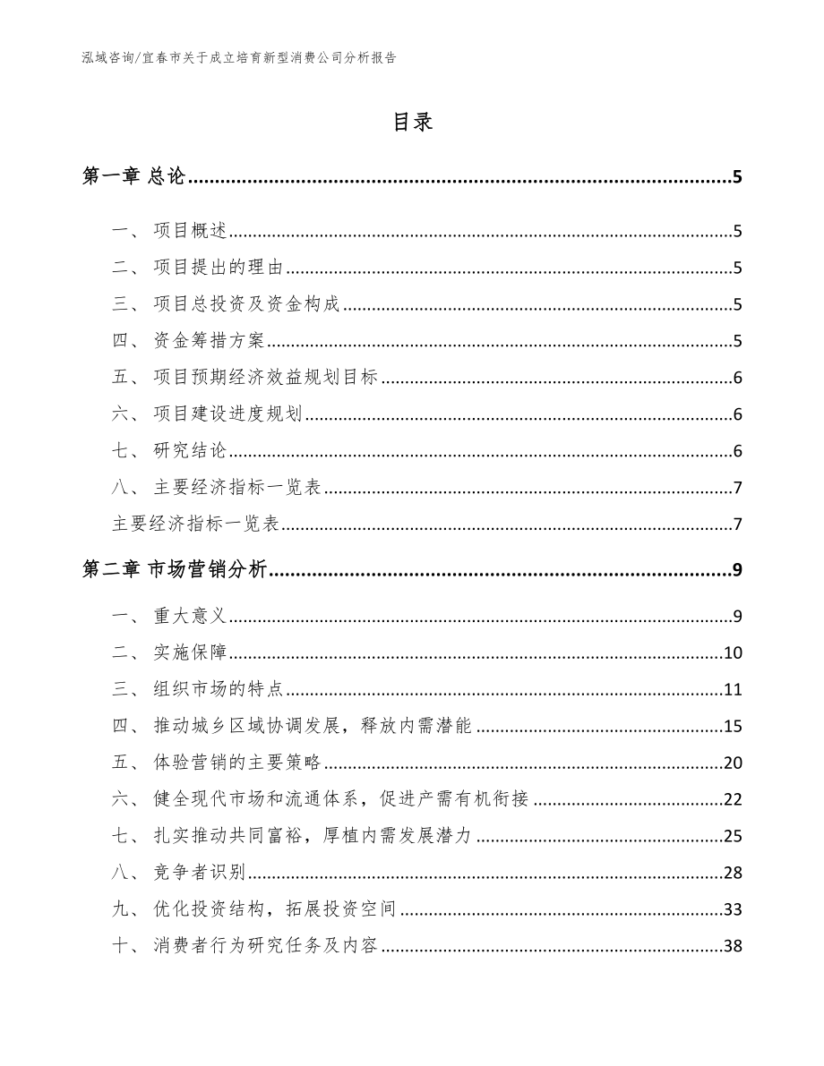 宜春市关于成立培育新型消费公司分析报告模板范文_第1页