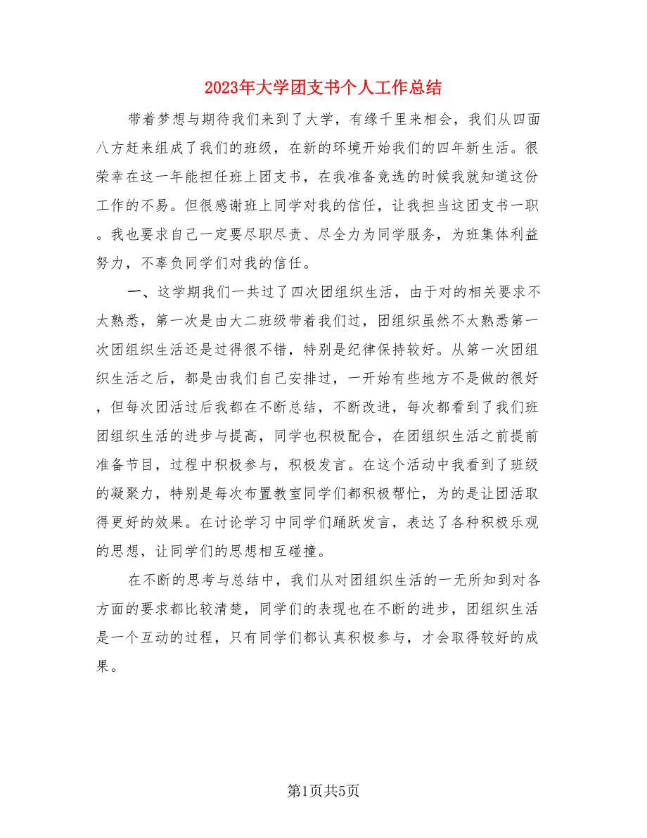 2023年大学团支书个人工作总结.doc_第1页