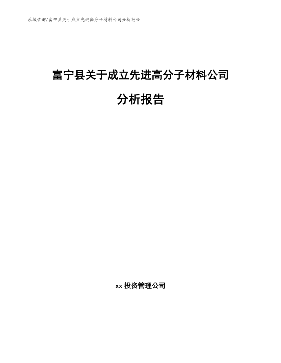 富宁县关于成立先进高分子材料公司分析报告_第1页
