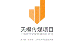 上海师范大学 上海市欣橙文化传播有限公司(天橙传媒)项目运营报告