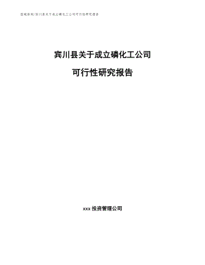 宾川县关于成立磷化工公司可行性研究报告（范文）